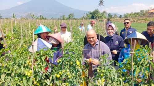 Dikunjungi Ilham Habibie, Keraton Kanoman Harap Cirebon Bisa Seperti Yogyakarta