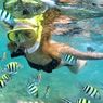 5 Pantai di Gunungkidul untuk Snorkeling, Airnya Masih Jernih