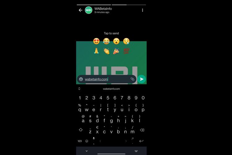 Screenshot fitur emoji reactions WhatsApp Status