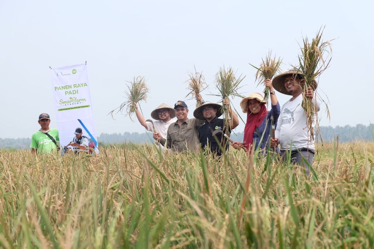 Kementan terus menggencarkan gerakan tanam padi dan mendorong kelompok tani bersinergi dengan berbagai pihak, baik stakeholder terkait maupun pihak swasta. 