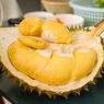 Durian Melimpah Saat Musimnya, Ini Akibatnya Kalau Makan Kebanyakan