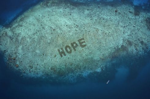 Lindungi Terumbu Karang, SHEBA Gandeng Warga Pulau Bontosua Jalankan Program Hope Reef