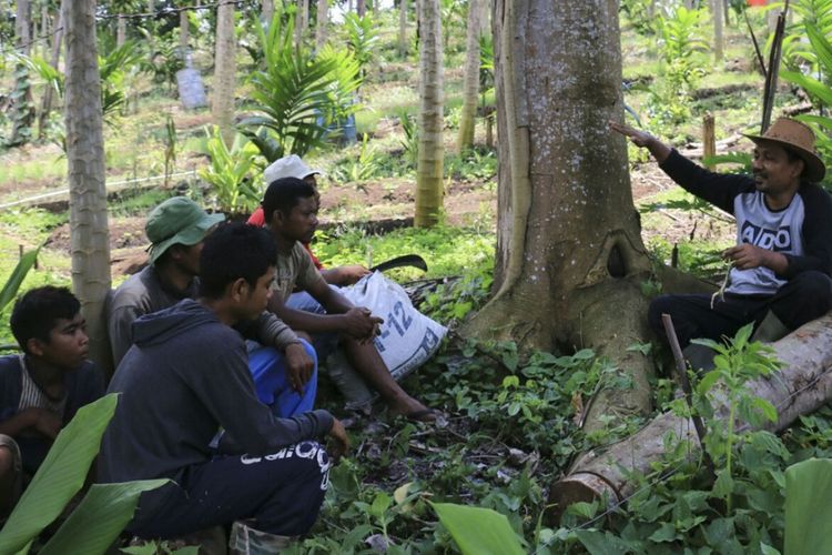 Muslahuddin Daud sedang menjelaskan teknik perawatan tanaman kepada mantan petani ganja yang bekerja di kebunnya, di Desa Lamteuba, Kecamatan Seulimum, Kabupaten Aceh Besar.