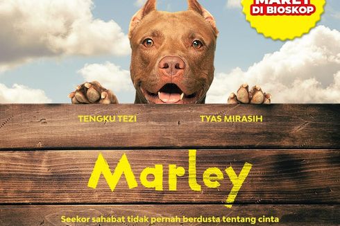 Marley, Film Perdana Garapan Denny Siregar Angkat Fenomena Perdagangan Anjing 