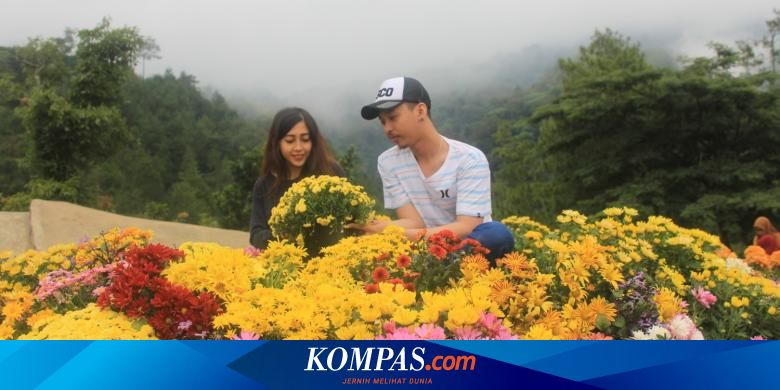 Batu Flower Garden Wisata Romantis Idola Kaum Remaja Halaman All