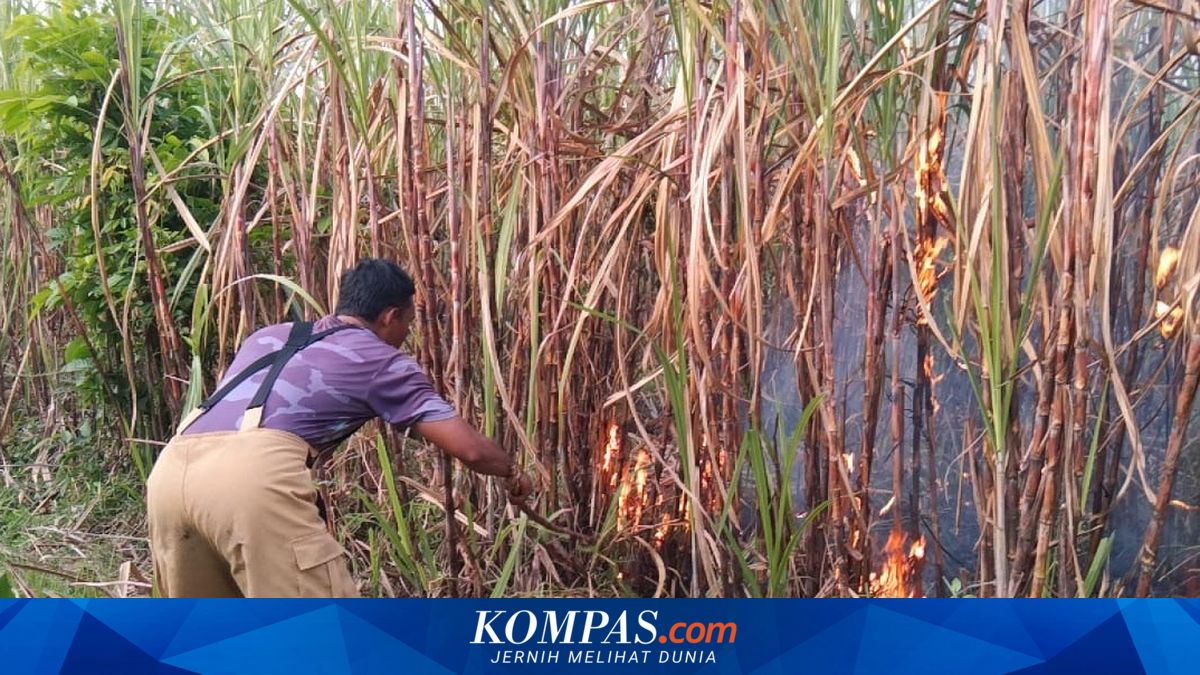 Marak Peristiwa Kebakaran di Kediri, Pemkab Imbau Warga Waspada