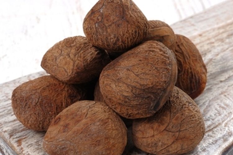 Kluwek atau Pangium edule