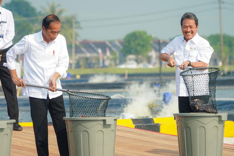 Tampak Presiden Republik Indonesia (RI) Jokowi dan Menteri Kelautan dan Perikanan (Menteri KP) Sakti Wahyu Trenggono melakukan panen secara simbolis di salah satu petakan tambak modeling kawasan tambak Budidaya Ikan Nila Salin (BINS) di Balai Layanan Usaha Produksi Perikanan Budidaya (BLUPPB) Karawang, Jawa Barat, Rabu (8/5/2024)