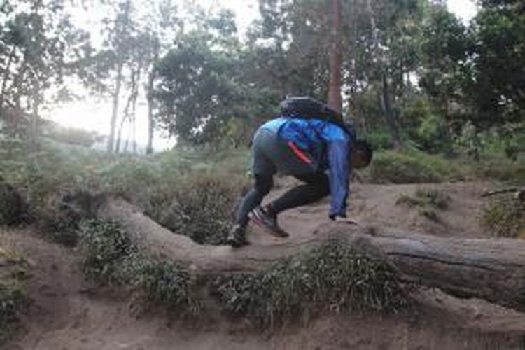 Pelari mendaki Gunung Merbabu saat mengikuti lomba lari ultra 60K MesaStila Challenge Ultra 2014 di Magelang, Jawa Tengah, Minggu (10/10/2014). Tak tanggung-tanggung para pelari ini melewati empat gunung yaitu Andong, Merbabu, Telomoyo, dan Gilipetung.  