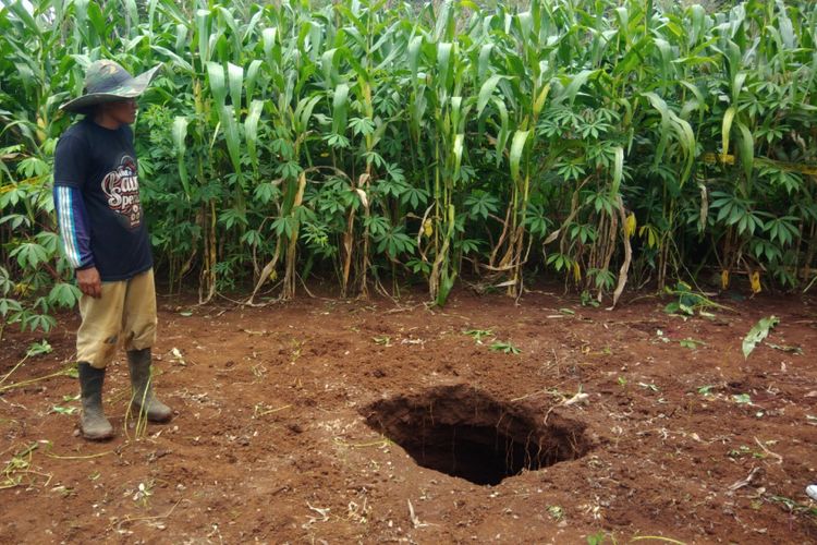 Sujoko warga Padukuhan Dadapan, Desa Petir, Kecamatan Rongkop, Gunungkidul, menyaksikan Fenomena Sinkhole di Ladangnya Junat (1/2/2019) 