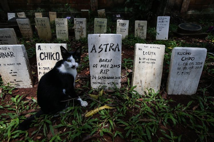 Makam hewan peliharaan di Pondok Pengayom Satwa, Jakarta Selatan, Selasa (2/4/2019). Terdapat sekitar 700 makam hewan peliharaan di lokasi ini. Selain tempat pemakaman, tempat ini juga memiliki shelter dan krematorium untuk hewan.