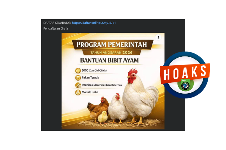 INFOGRAFIK: Hoaks Bantuan Bibit Ayam dari Kementan, Simak Bantahannya