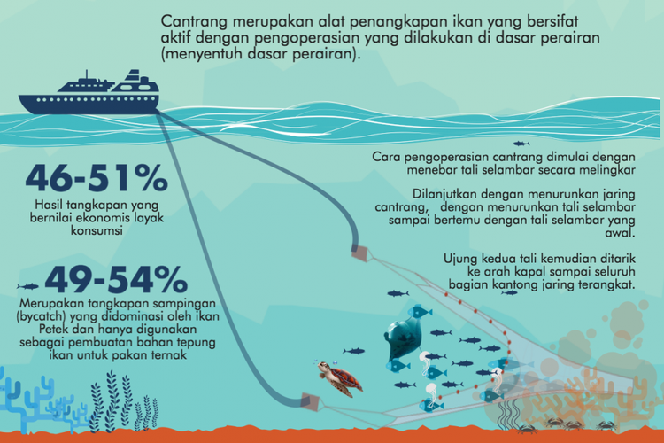 Infografis Cantrang