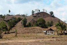 Kabupaten Boleamo, Korban Masifnya Perkebunan Jagung di Gorontalo
