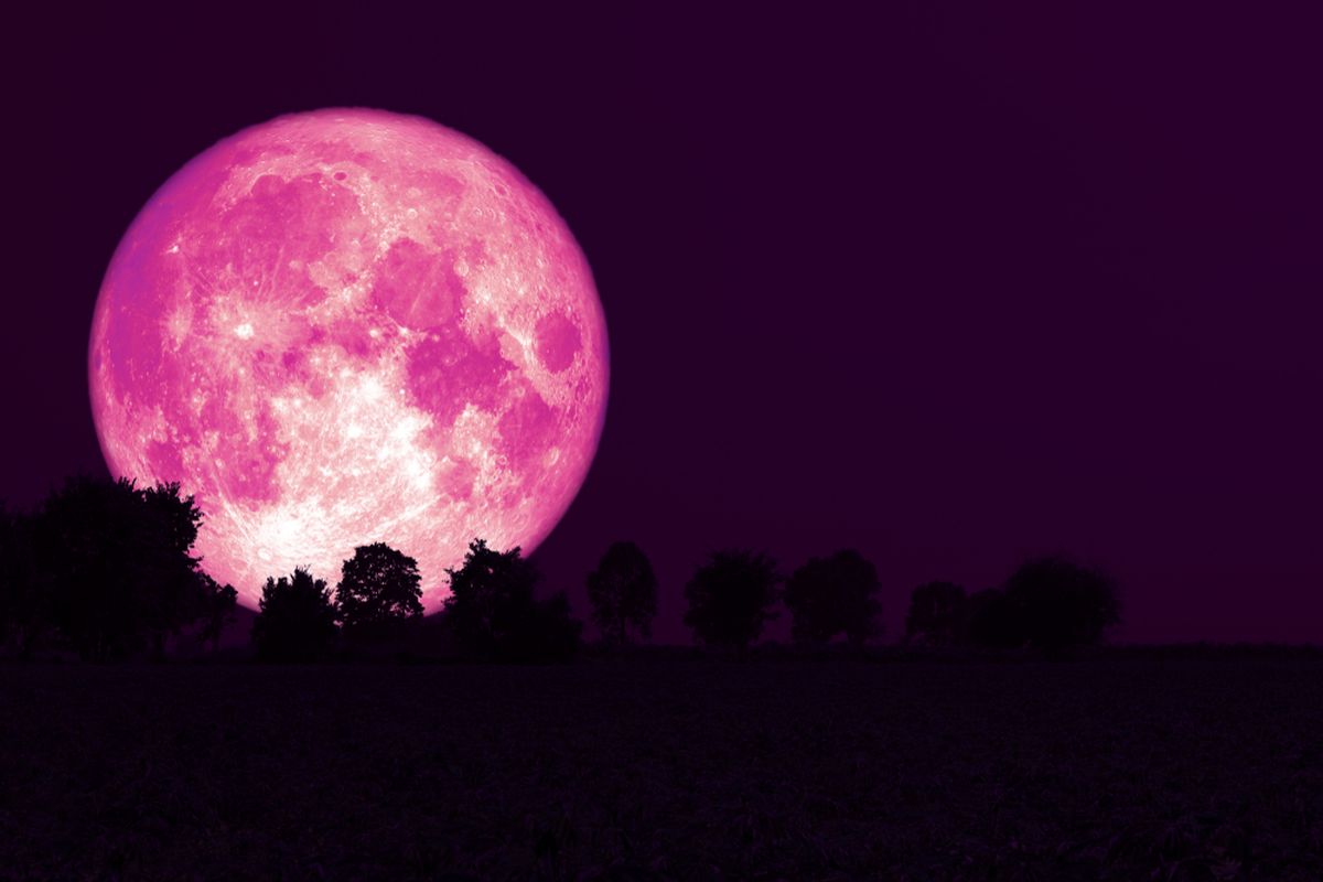 Bulan purnama strawberry atau strawberry full moon.