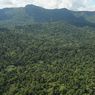 11 Hektar Hutan Lindung Gunung Bawang Rusak akibat Pembalakan Liar