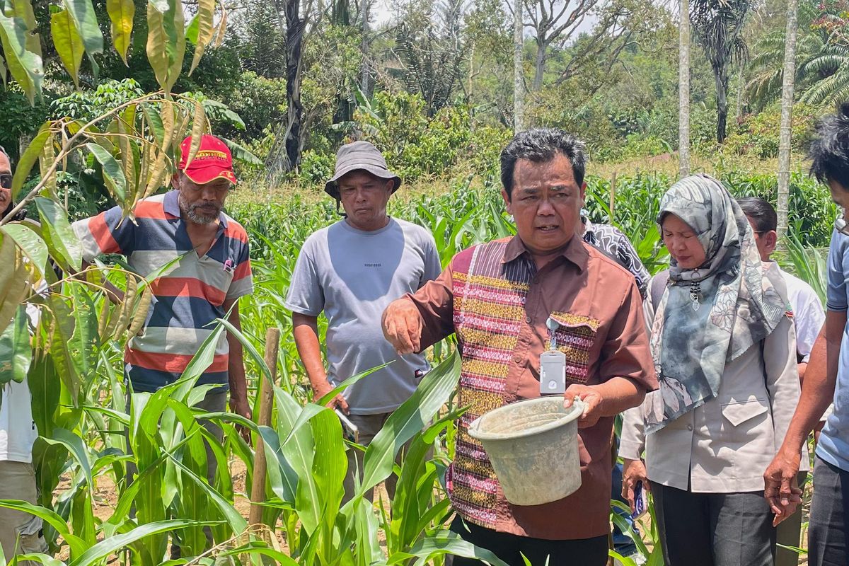Program Dairi Prima Angkat Nilai Kopi hingga Durian Dairi
