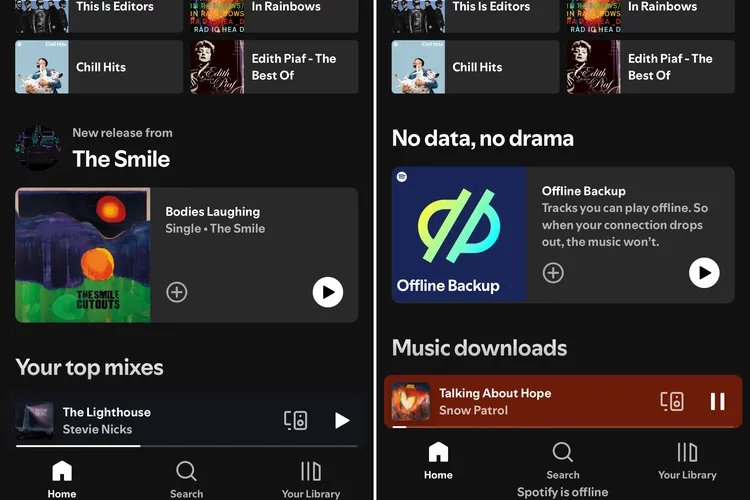 Tampilan fitur Offline Backup di Spotify