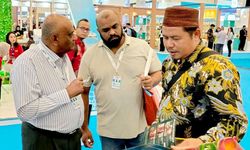 Kisah Zaiwan, Kepala Desa yang Lindungi Hutan hingga Berhasil Ekspor Madu