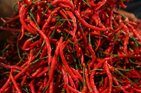 Harga Cabai Merah Keriting Tembus Rp 140.000 Per Kg di Jakarta