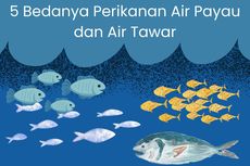 5 Bedanya Perikanan Air Payau dan Air Tawar