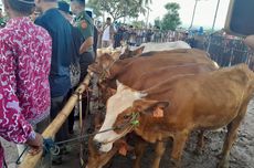 Vokasi UI Dukung Pengembangan Desa Wisata dan Permainan Tradisional Lewat Siniar