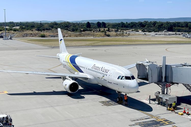 Ilustrasi pesawat TransNusa.