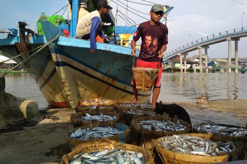 Tempat Pelelangan Ikan Baru Senilai Rp 100 Miliar Dibangun di Ciparage Karawang
