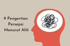 9 Pengertian Persepsi Menurut Ahli