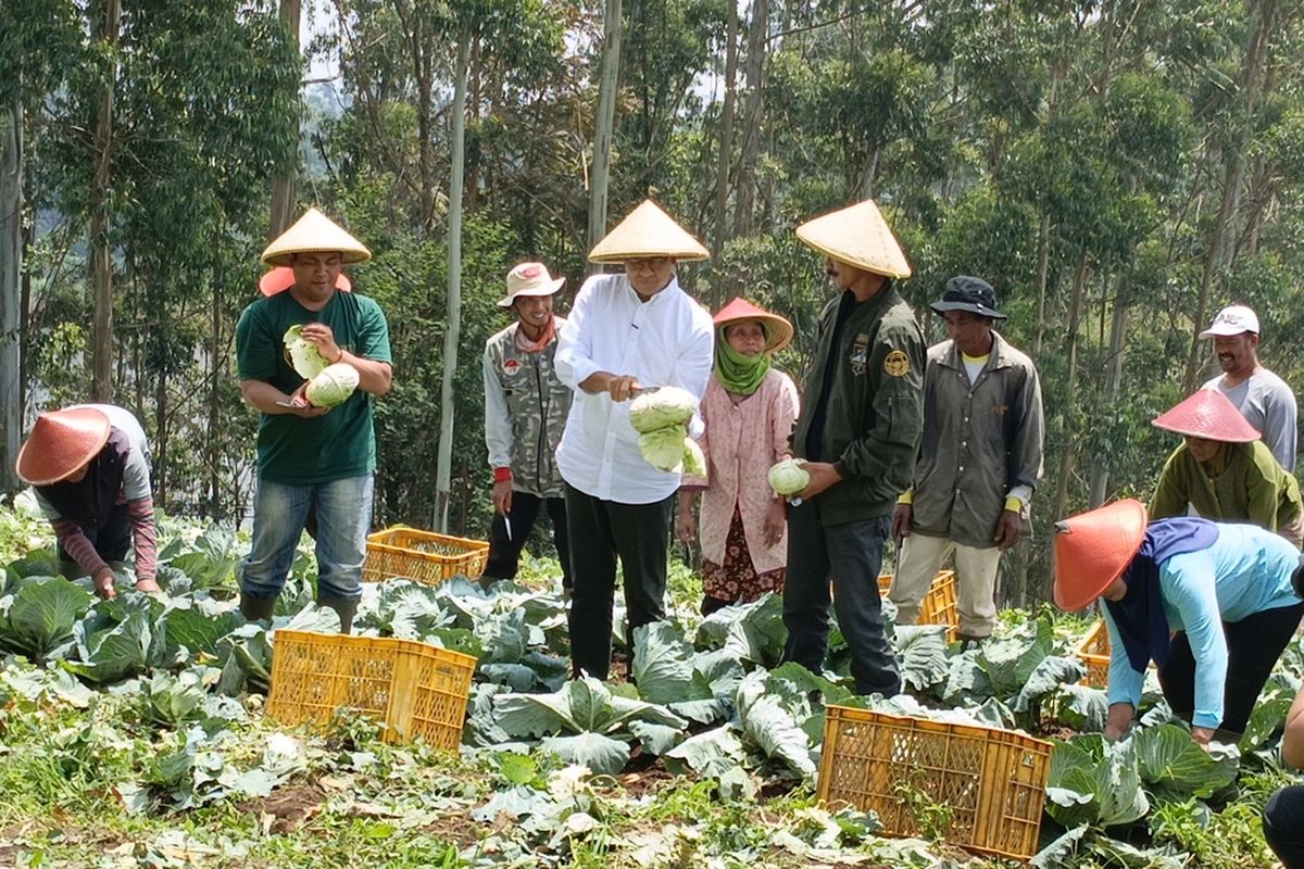 Calon Presiden nomor urut 1 Anies Baswedan saat mengunjungi salah satu perkebunan di Pangalenga, Kabupaten Bandung, Jawa Barat pada Rabu (29/11/2023)