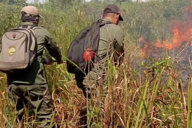 Kegiatan patroli MPP Taman Nasional Way Kambas dengan keluar masuk hutan. Meskipun ancaman pekerjaan sangat tinggi, anggota MPP hanya dibayar Rp 450.000 per bulan.