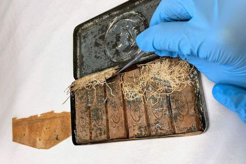 Coklat Tertua di Dunia Ditemukan Masih Utuh, Diduga Pesanan Ratu Inggris