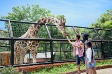 Maharani Zoo dan Goa Lamongan: Harga Tiket, Jam Buka, dan Daya Tarik 