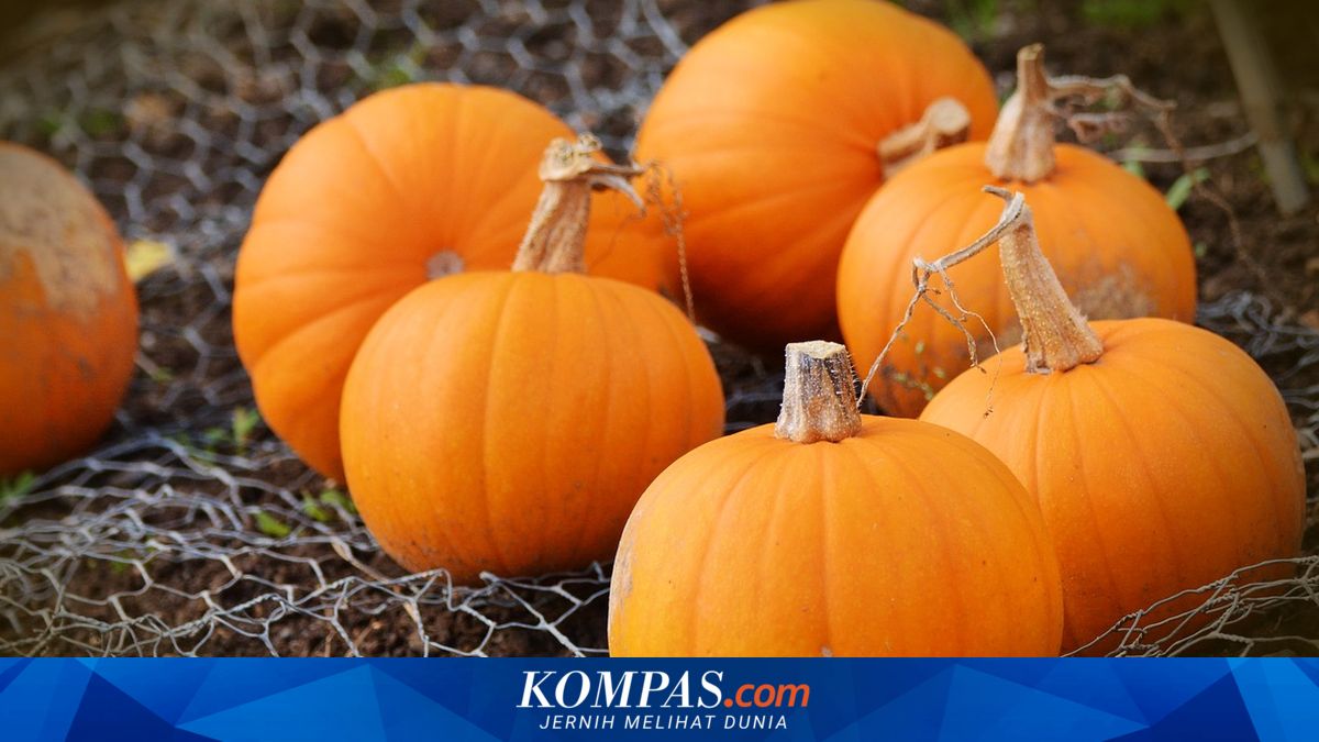 4 Cara Kupas Labu Kuning dengan Mudah, Kukus Dulu biar Cepat