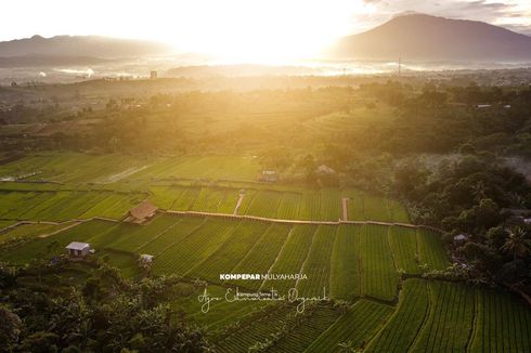 Kampung Tematik Mulyaharja Bogor, Wisata Edukasi yang Instagramable