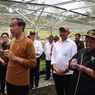 Jokowi Sebut Persemaian Mentawir di IKN Produksi 20 Juta Bibit Per Tahun