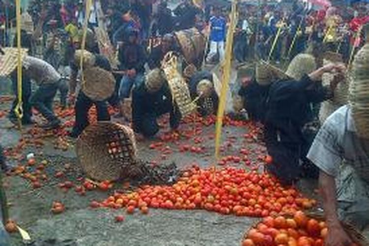 Suasana perang tomat di RW 03 Kampung Cikareumbi, Desa Cikidang, Kecamatan Lembang Kabupaten Bandung Barat, Jawa Barat, Kamis (14/11/2013) siang.