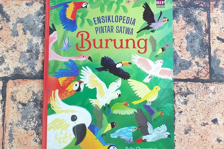Ensiklopedia Pintar Satwa: Burung