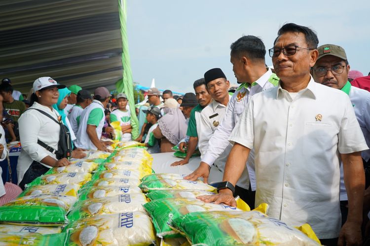 Kepala Staf Kepresidenan Moeldoko menghadiri panen raya padi di Desa Lojejer, Kecamatan Wuluhan Kabupaten Jember, Jawa Timur pada Jumat (24/3/2023)