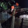 Puting Beliung Terjang Banyuwangi, 4 Rumah Warga Desa Telemung Rusak