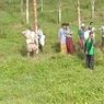 2 Mayat Pria Terikat Tali Ditemukan di Perkebunan Karet Lebak