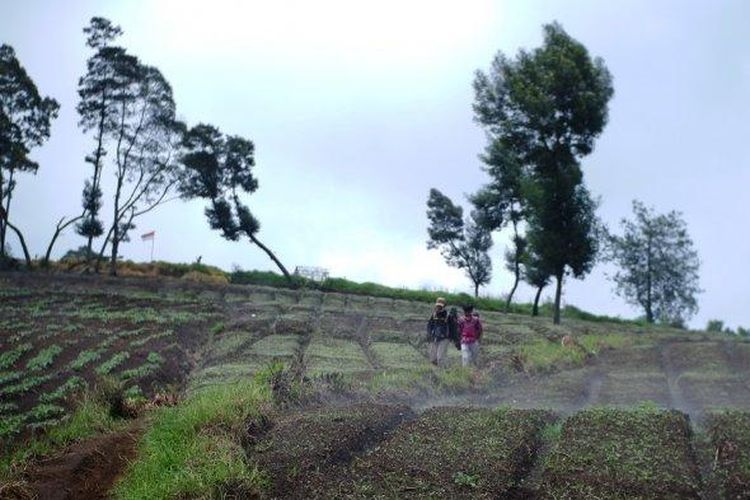 Jalur pendakian di Gunung Artapela Kabupaten Bandung