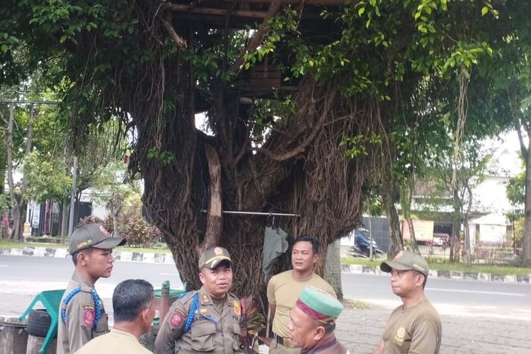 Rumah pohon yang berada di atas pohon beringin berukuran besar di depan Masjid Al Ikhlas, Jalan Raya Langsep, Kelurahan Bareng, Kecamatan Klojen, Kota Malang dibongkar oleh Satpol PP pada Selasa (21/3/2023). 