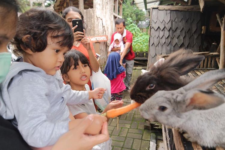 Wisata edutainment yang ramah anak salah satunya dengan memberi makan hewan secara langsung. 