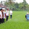 Kini Dikirim ke Seluruh Indonesia, Keberhasilan Beras Organik Banyuwangi di 18.000 Supermarket