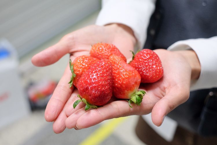 Festival Strawberry di Nonsan