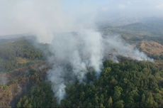 Sempat Padam, Kebakaran di Gunung Ciremai Kembali Membesar