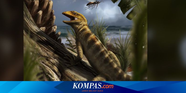 Inilah Ibu dari Semua Kadal  dan  Ular  Usianya 240 Juta Tahun