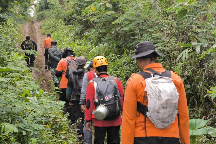 Petugas menyusuri hutan Mergasari, Kabupaten Lumajang, mencari keberadaan Candra yang hilang