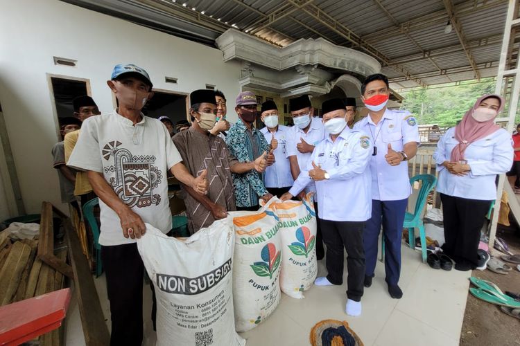 Pembagian pupuk urea gratis sebanyak 50 kilogram dari Pemkab Situbondo pada tiap petani 